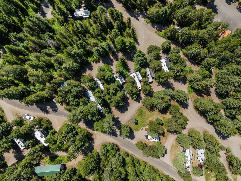 Soft forest canopy from above — gravel lanes tuck between evergreens, white roofs quiet in the shade. Morning-green light, no signs, no rush. The park as a living machine at rest.